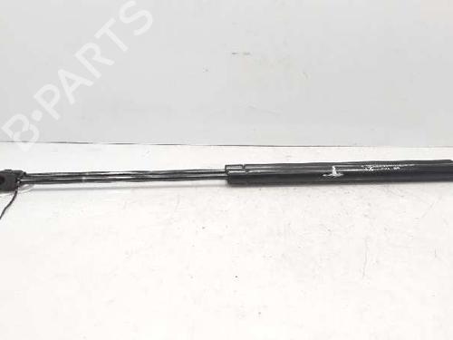Gassdemper Bakluke CITROËN C4 Coupe (LA_) [2004-2013]  14233100