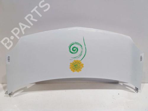 Used Hood RENAULT KANGOO / GRAND KANGOO II (KW0/1_) [2008-2025]  3055015