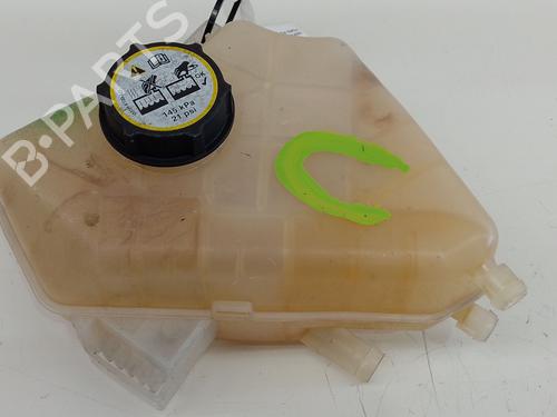 Used Expansion tank FORD FIESTA VI (CB1, CCN) 1.0 EcoBoost (100 hp) 32394113