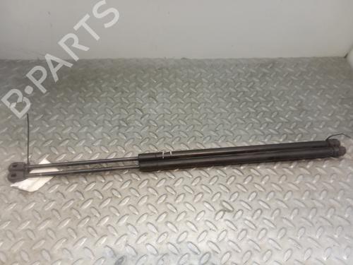 Used Tailgate lift support FORD FIESTA V (JH_, JD_) [2001-2014]  14228487