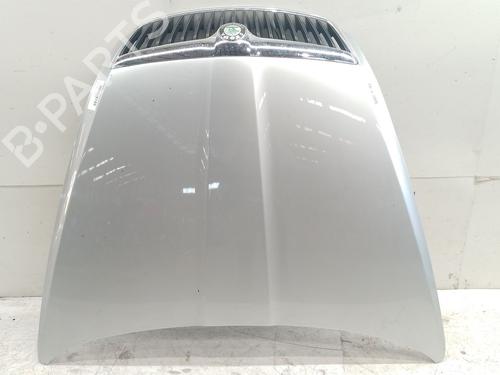 Used Hood SKODA OCTAVIA II (1Z3) 1.9 TDI (105 hp) 26593944