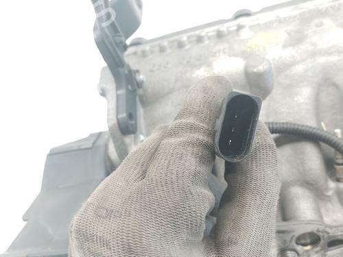 Cylinder head SEAT CORDOBA (6L2) 1.9 TDI | BP27808063M5 