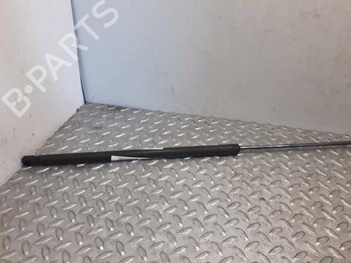 Used Hood lift support VW PASSAT B6 (3C2) [2005-2010]  14234112