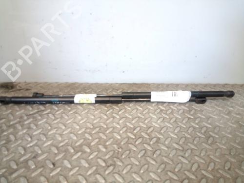 Used Tailgate lift support LAND ROVER RANGE ROVER SPORT I (L320) [2005-2013]  14237227