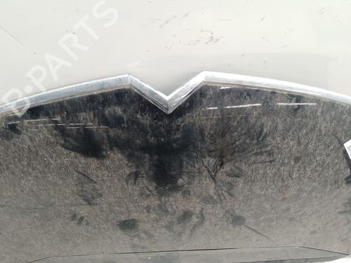 Hood CITROËN C4 Picasso I MPV (UD_) 2.0 HDi 138 | BP29210753C1 