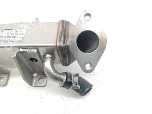 Egr NISSAN X-TRAIL II (T31) 2.0 dCi 4x4 | BP21664118M69