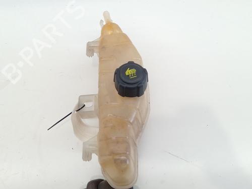 Expansion tank RENAULT CLIO III (BR0/1, CR0/1) 1.5 dCi (BR17, CR17) | BP26217807C120 