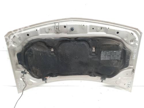 Hood RENAULT MEGANE II (BM0/1_, CM0/1_)  | BP19019862C1 