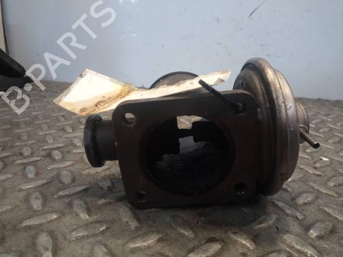 Egr BMW 3 (E46)  | BP13313117M69 