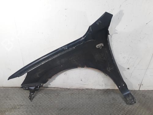 Right front fenders HYUNDAI SANTA FÉ II (CM) 2.2 CRDi GLS | BP9171142C42 