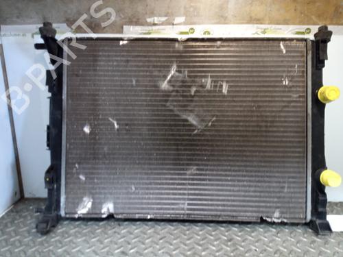 Radiateur à eau RENAULT MEGANE II (BM0/1_, CM0/1_) 1.9 dCi (BM0G, CM0G) (120 hp) 10507863
