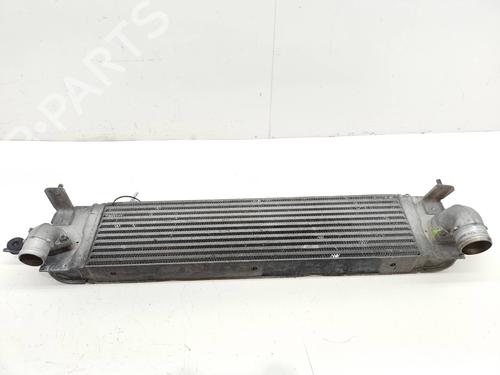 Used Intercooler NISSAN X-TRAIL II (T31) [2007-2018]  21664082