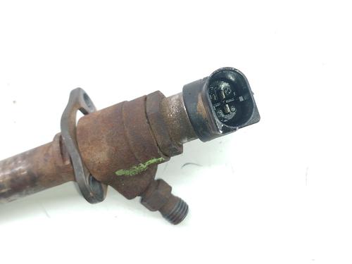 Injector LAND ROVER RANGE ROVER SPORT I (L320) 2.7 D 4x4 | BP32066342M100