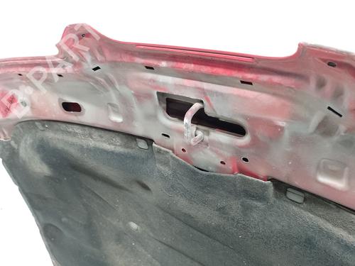 Hood SEAT LEON (1M1)  | BP24106641C1 