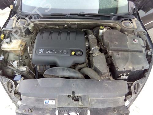 Interior roof handle PEUGEOT 407 (6D_)  | BP14229887I35 