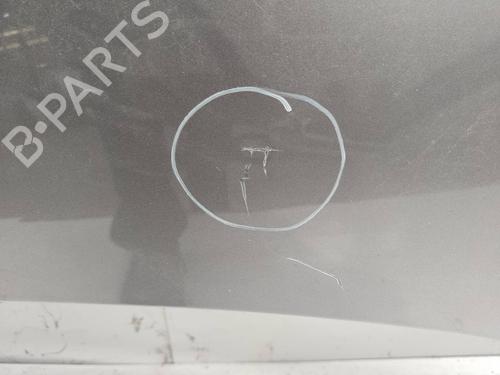 Hood RENAULT SCÉNIC III (JZ0/1_) 1.6 16V (JZ0U, JZ1B) | BP21065306C1
