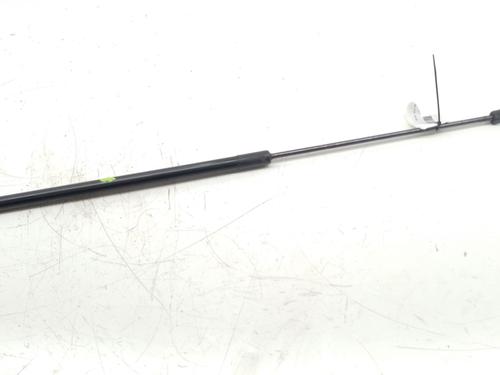 Used Hood lift support VW PASSAT B6 (3C2) 2.0 TDI 16V (140 hp) 29539001