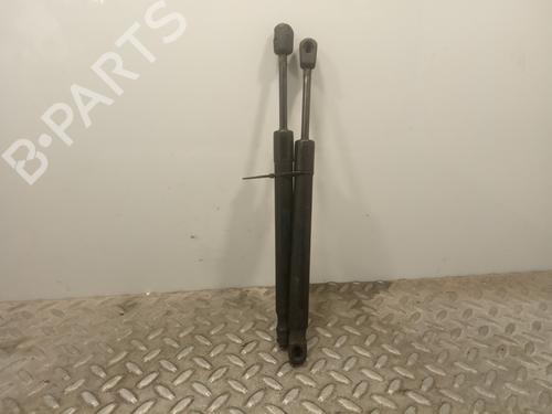 Gassdemper Bakluke AUDI A4 B7 (8EC) [2004-2009]  14236163