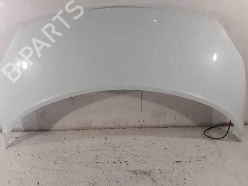 Used Hood RENAULT SCÉNIC II (JM0/1_) 1.9 dCi (JM0G, JM12, JM1G, JM2C) (120 hp) 5301803