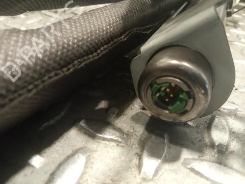 Right curtain airbag NISSAN QASHQAI / QASHQAI +2 I (J10, NJ10, JJ10E) 2.0 dCi All-wheel Drive | BP10277245C12 