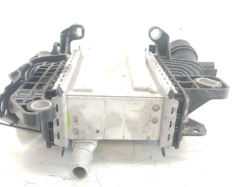 Intercooler RENAULT KADJAR (HA_, HL_) 1.5 BLUE dCi 115 (HLA6) | BP27615068M30 