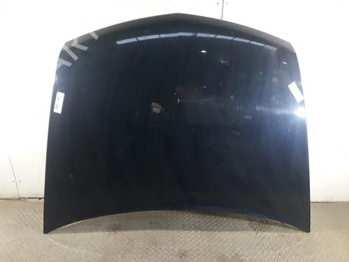 Used Hood RENAULT VEL SATIS (BJ0_) [2002-2025]  10546849