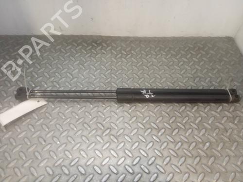 Used Tailgate lift support FORD FIESTA VI (CB1, CCN) [2008-2017]  14226043