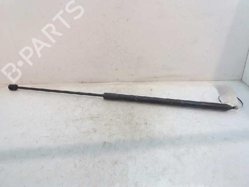Used Hood lift support RENAULT MEGANE III Hatchback (BZ0/1_, B3_) 1.5 dCi (106 hp) 14232371