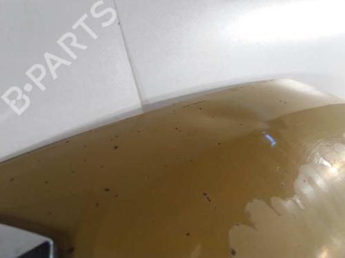 Hood RENAULT KANGOO (KC0/1_) D 65 1.9 (KC0E, KC02, KC0J, KC0N) | BP5023988C1