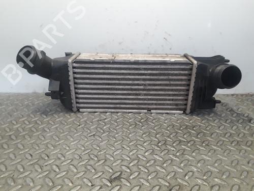 Used Intercooler PEUGEOT 407 SW (6E_, 6D_) 2.0 HDi 135 (136 hp) 15389970