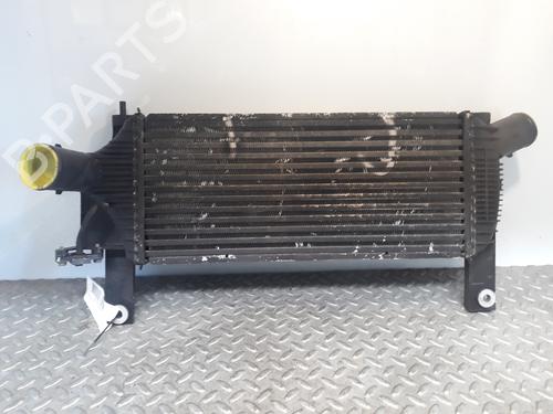 Used Intercooler NISSAN PATHFINDER III (R51) 2.5 dCi (174 hp) 8118003