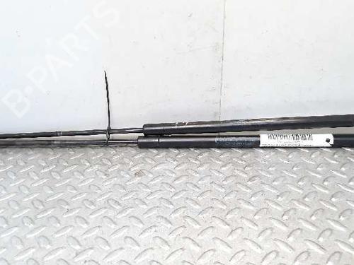 Used Tailgate lift support FORD FIESTA V (JH_, JD_) 1.4 TDCi (68 hp) 14229387