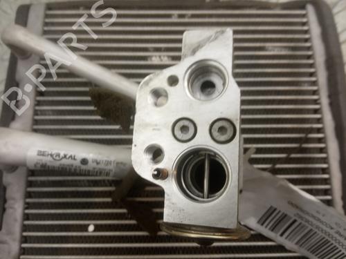 Air conditioning evaporator SEAT IBIZA IV ST (6J8, 6P8)  | BP11671222M109 