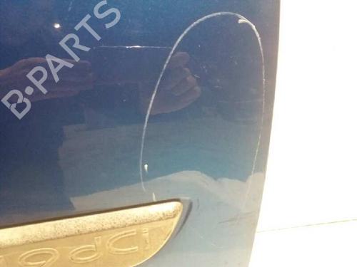 Right front door RENAULT SCÉNIC II (JM0/1_)  | BP4705890C3 