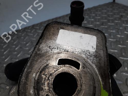 Oliekøler NISSAN KUBISTAR Van (X76)  | BP14234692M33 