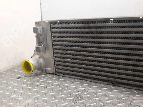 Intercooler RENAULT MEGANE II Saloon (LM0/1_)  | BP6140986M30 