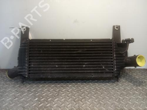 Intercooler NISSAN PATHFINDER III (R51) 2.5 dCi | BP10564677M30 