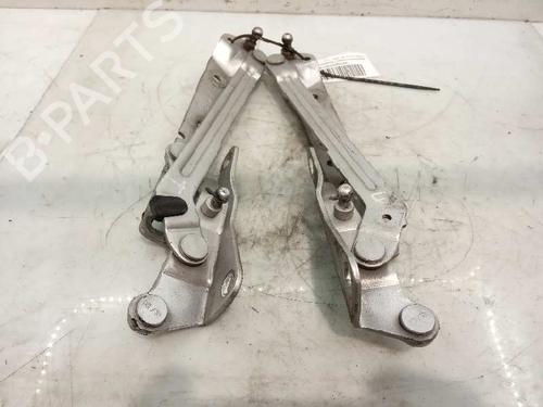 Hinge/Door check strap FORD FOCUS II (DA_, HCP, DP)  | BP14231139C146 