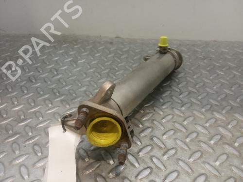 Egr RENAULT VEL SATIS (BJ0_)  | BP14237539M69 