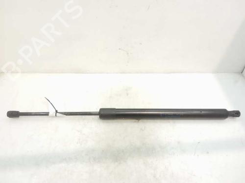 Used Tailgate lift support FORD TOURNEO COURIER B460 MPV 1.6 TDCi (95 hp) 14231948