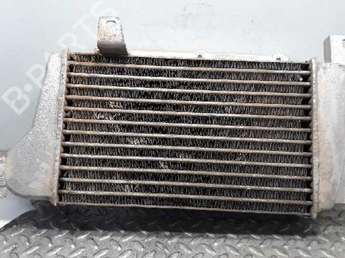 Intercooler TATA SAFARI (42_FD)  | BP12548346M30 