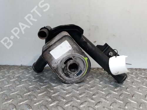 Oliekøler NISSAN KUBISTAR Van (X76) [2003-2025]  14234692