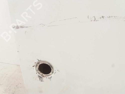 Right rear door FORD TOURNEO CONNECT  | BP4941317C5 