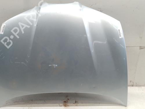 Used Hood SEAT IBIZA III (6L1) 1.4 TDI (80 hp) 27152298