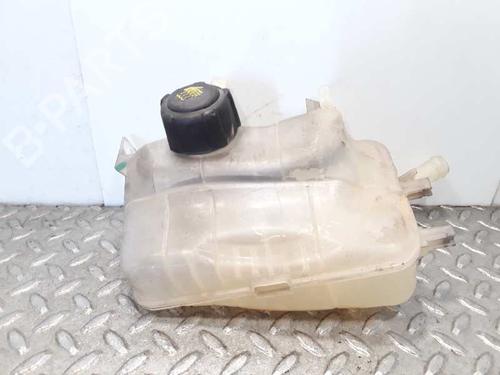 Vase D'Expansion RENAULT MEGANE III Hatchback (BZ0/1_, B3_) 1.9 dCi (BZ0N, BZ0J) (131 hp) 7064639