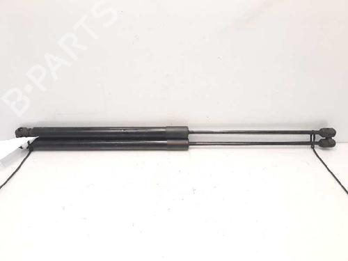 Used Tailgate lift support FORD FOCUS III [2010-2020]  14232690