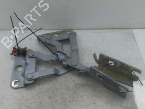 Used Hinge/Door check strap CITROËN XSARA (N1) 1.9 TD (90 hp) 14230576