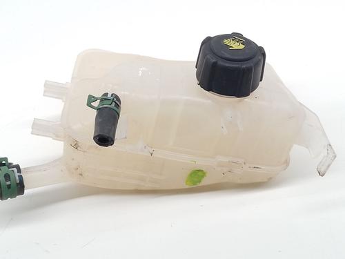 Used Expansion tank RENAULT SCÉNIC III (JZ0/1_) 1.6 E85 (JZ03, JZ1Y) (110 hp) 28953767