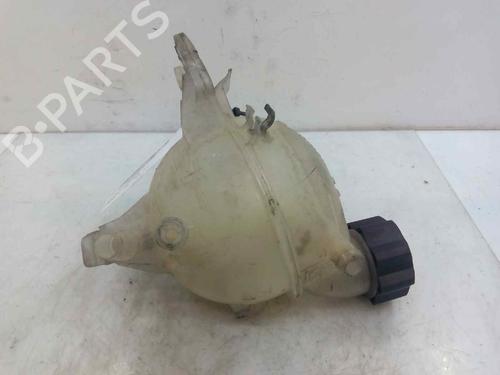 Expansion tank PEUGEOT 207 (WA_, WC_)  | BP3052691C120 