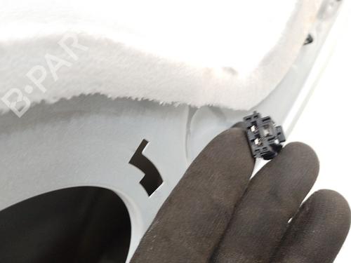 Porta trás esquerda CITROËN C4 CACTUS 1.5 BlueHDi 100 | BP31175314C4 